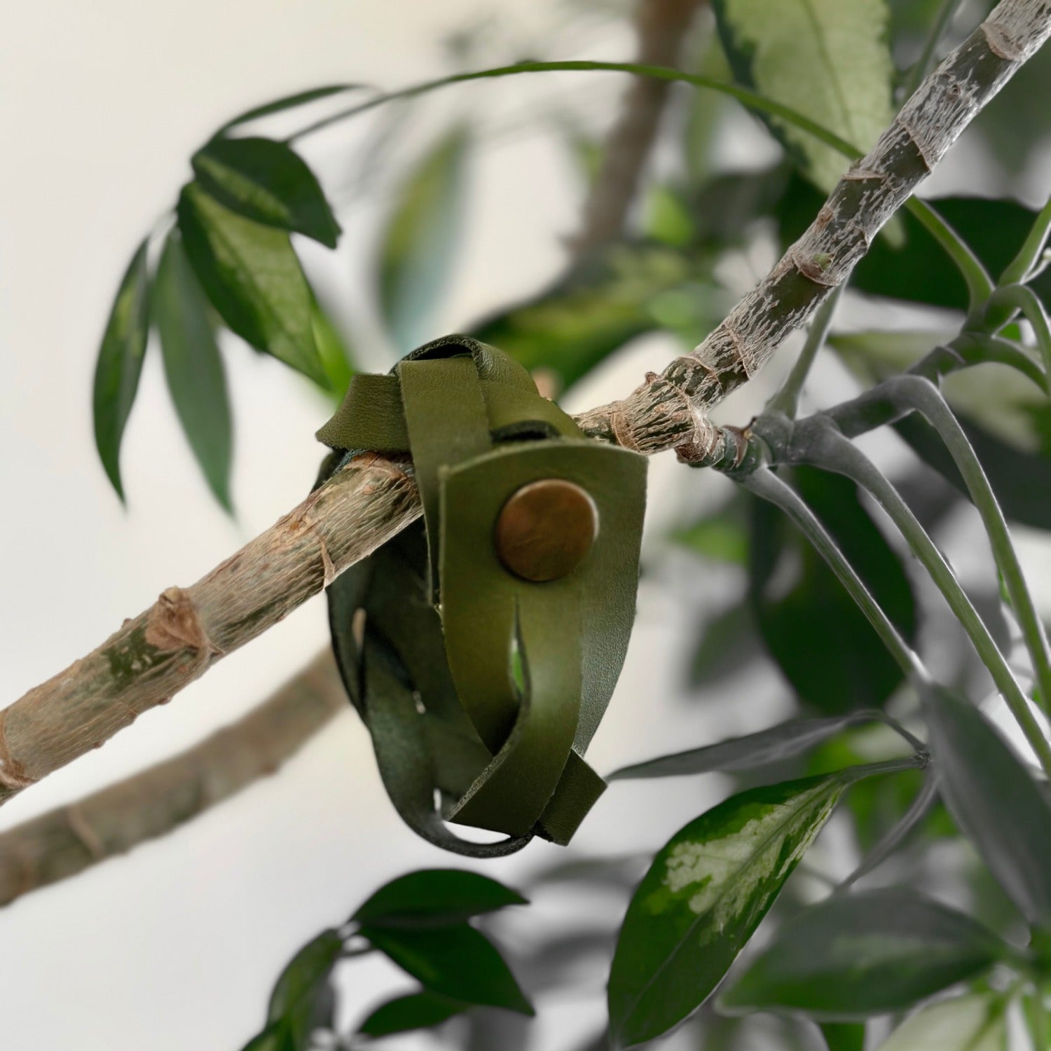 Bracelet - Olive Green